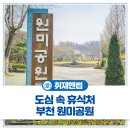 하늘빛 어린이공원 앞 횡단보도 | 아름다운 벚꽃이 만개한 도심 속 휴식처! 부천 원미공원을 소개합니다🙌