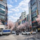 대전상가 이미지