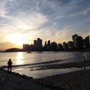 해운대로 570번길46 이미지