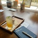 이연서점 | 제주 함덕 북카페 도토관 내돈내산