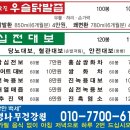 대보건강원 네이버블로그