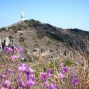 (구)보건소사거리2(하나은행앞) 이미지
