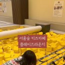 플레이즈 라운지 이미지