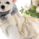 코코앤그레이 이미지