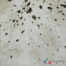 갤러리손 이미지