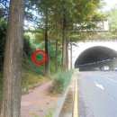 완산-46 이미지