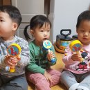 달콩나라