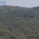 금음교차로 이미지