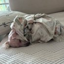 아이조아 요양보호소 서울점 이미지