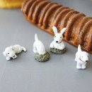 미니어처 우리집 이미지