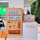 울주 피크닉 콘서트 가을 한 장 | 명동 온드림소사이어티 온소 피크닉 문화체험전시 후기