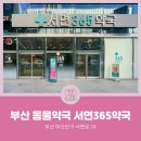 365시티약국 이미지
