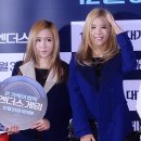 엘린 이미지