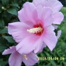 지내마을경로당 이미지