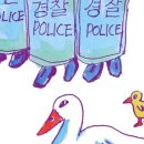 돈오리비해피