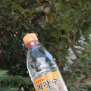 동해샘물지장수 | 안전한 생수/몸에 좋은 물은 동해약천골 지장수로