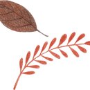 카페70도씨 이미지