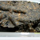 다예의원 이미지