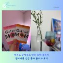 제주도 귤껍질로 만든 몸에좋은차 갤러리몸 건강 몸차 귤피차 후기