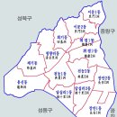 뉴서울청과