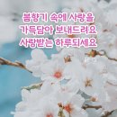 4/3일 수요일 비가 주룩주룩 내리는 아침 문안인사 드립니다 🙇‍♀️ 이미지