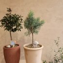 연이플라워 이미지