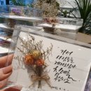 캘리가든 이미지
