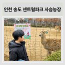 현대사슴농장 이미지