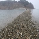 내파수도 Daum카페