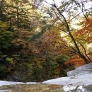 구만동 오토캠핑장 이미지