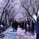 송정동-8 이미지