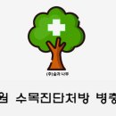 주식회사숲나무 이미지