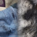 또바기세탁명가 이미지