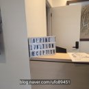 alpine | 와나카 1박 - 와나카 숙소 추천 Alpine Junction 강추, 와나카 호수 드라이브 코스 및 나홀로나무와 밤...