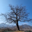 염수재(念修齋) 이미지