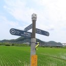 남파랑길 51코스 이미지