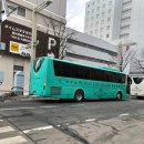 주식회사 필투어 | 대만족! 삿포로 여행 비에이투어 흰그림자투어 추천 / 크리스마스트리 코디 자작나무 숲 인생샷