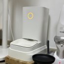 뉴세일부분정비 | 인히어런트 뉴오레오 고양이식기 유목민 정착 후기