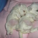 하늘마루2 이미지