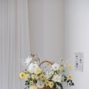노브그린플라워스튜디오