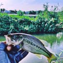 왕숙천 자전거도로7 이미지