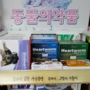 지묘제일약국 이미지