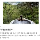 나인X짐 | [제천] 포레스트 리솜 해브나인 스파 꿀팁 및 후기 (스톤스파 웨이팅/준비물 꿀팁)