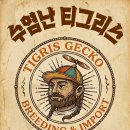티그리스게코 - 강동구 상암로 8-1 | 티그리스게코