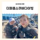 올리브낭 | 제주 서귀포 스쿠버다이빙 체험 후기｜더퍼플스쿠버다이빙 2인 프라이빗 투어 🌊🤿