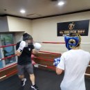 골든보이복싱체육관 이미지