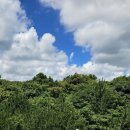 글로벌에듀로 이미지