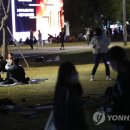 치맥특별시 이미지