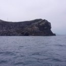 해리애견 이미지