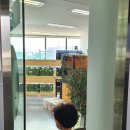 엔젤인어항 이미지